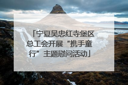 宁夏吴忠红寺堡区总工会开展“携手童行”主题慰问活动