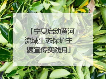 宁夏启动黄河流域生态保护主题宣传实践月