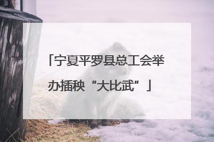 宁夏平罗县总工会举办插秧“大比武”