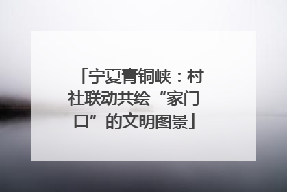 宁夏青铜峡：村社联动共绘“家门口”的文明图景