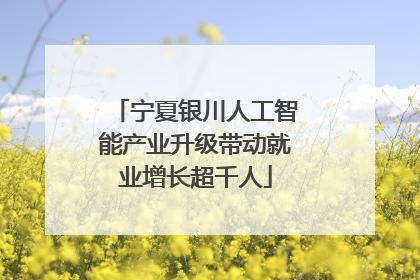 宁夏银川人工智能产业升级带动就业增长超千人