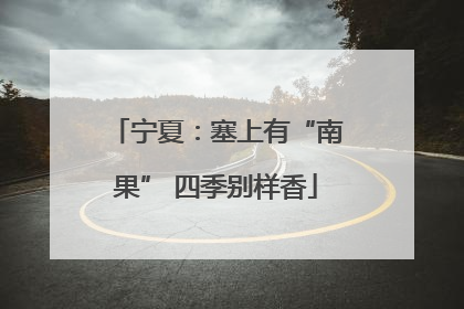 宁夏：塞上有“南果” 四季别样香