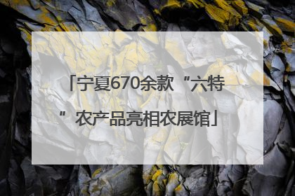 宁夏670余款“六特”农产品亮相农展馆