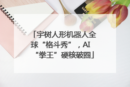 宇树人形机器人全球“格斗秀”，AI“拳王”硬核破圈
