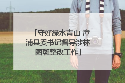 守好绿水青山 漳浦县委书记督导涉林图斑整改工作