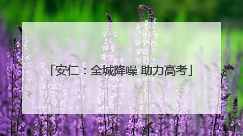 安仁：全城降噪 助力高考