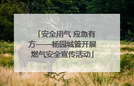 安全用气 应急有方——杨园城管开展燃气安全宣传活动