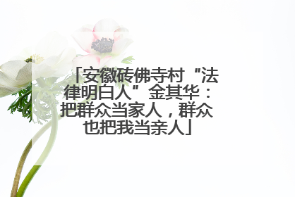 安徽砖佛寺村“法律明白人”金其华：把群众当家人，群众也把我当亲人