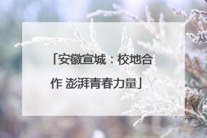 安徽宣城：校地合作 澎湃青春力量