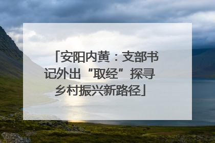安阳内黄：支部书记外出“取经”探寻乡村振兴新路径