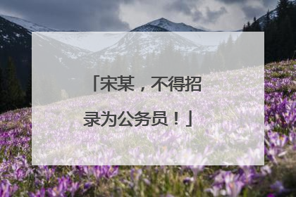 宋某，不得招录为公务员！
