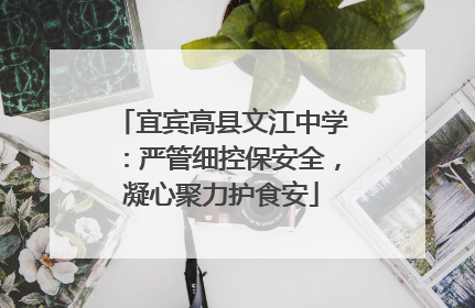 宜宾高县文江中学：严管细控保安全，凝心聚力护食安