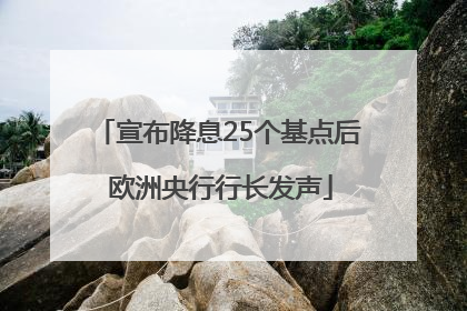 宣布降息25个基点后 欧洲央行行长发声