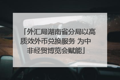 外汇局湖南省分局以高质效外币兑换服务 为中非经贸博览会赋能