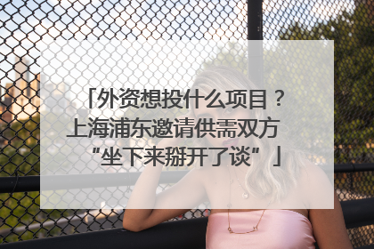 外资想投什么项目？上海浦东邀请供需双方“坐下来掰开了谈”