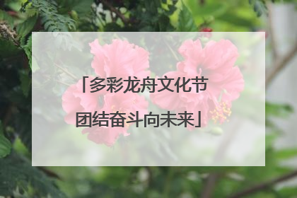 多彩龙舟文化节 团结奋斗向未来