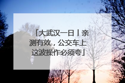 大武汉一日丨亲测有效，公交车上这波操作必须夸