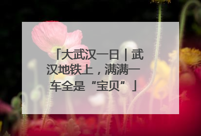 大武汉一日｜武汉地铁上，满满一车全是“宝贝”