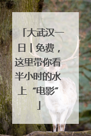 大武汉一日︱免费，这里带你看半小时的水上“电影”