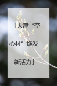 天津“空心村”焕发新活力