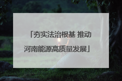 夯实法治根基 推动河南能源高质量发展