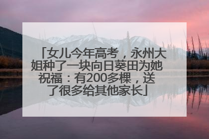 女儿今年高考，永州大姐种了一块向日葵田为她祝福：有200多棵，送了很多给其他家长