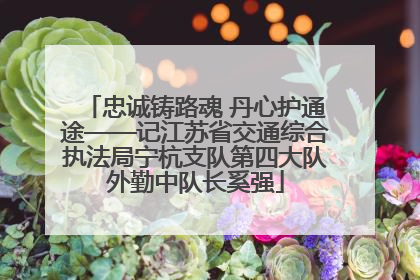 忠诚铸路魂 丹心护通途——记江苏省交通综合执法局宁杭支队第四大队外勤中队长奚强
