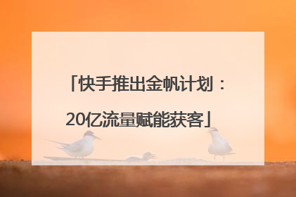 快手推出金帆计划：20亿流量赋能获客