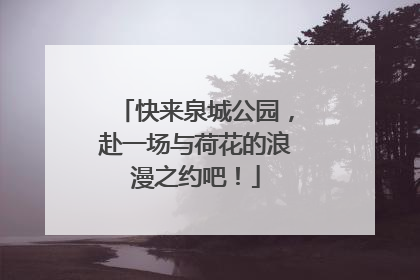 快来泉城公园，赴一场与荷花的浪漫之约吧！