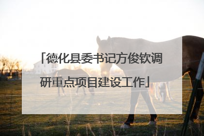 德化县委书记方俊钦调研重点项目建设工作