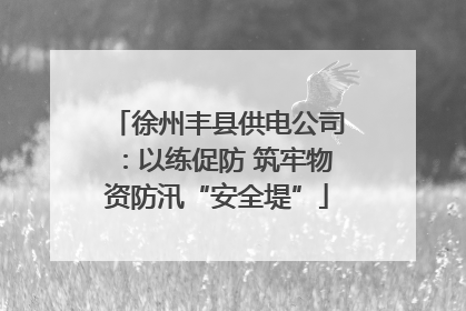 徐州丰县供电公司：以练促防 筑牢物资防汛“安全堤”