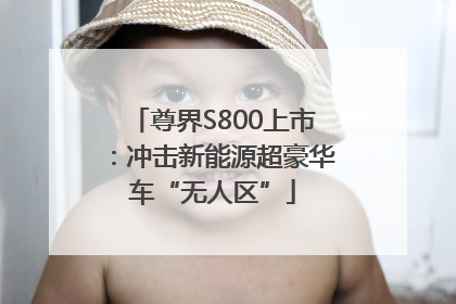 尊界S800上市：冲击新能源超豪华车“无人区”