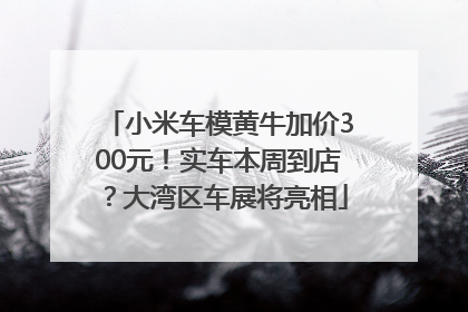 小米车模黄牛加价300元！实车本周到店？大湾区车展将亮相