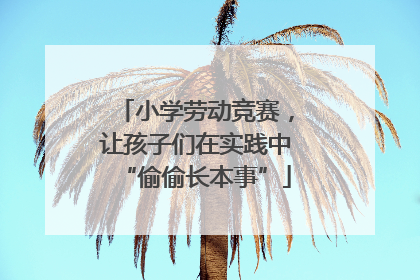 小学劳动竞赛，让孩子们在实践中“偷偷长本事”