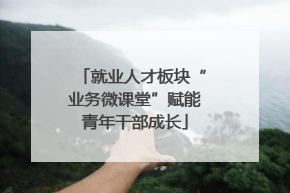就业人才板块“业务微课堂”赋能青年干部成长