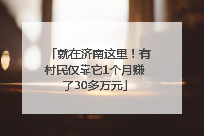就在济南这里！有村民仅靠它1个月赚了30多万元