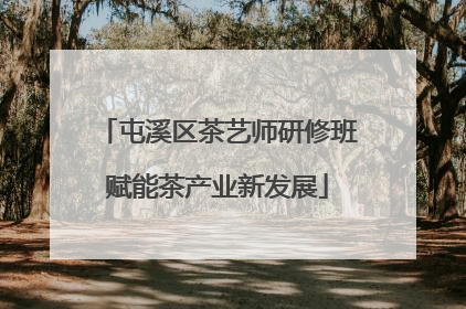 屯溪区茶艺师研修班赋能茶产业新发展
