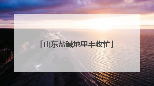 山东盐碱地里丰收忙