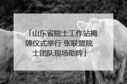 山东省院士工作站揭牌仪式举行 张联盟院士团队现场助阵