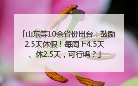 山东等10余省份出台：鼓励2.5天休假！每周上4.5天、休2.5天，可行吗？