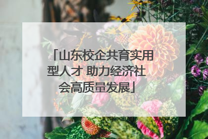 山东校企共育实用型人才 助力经济社会高质量发展