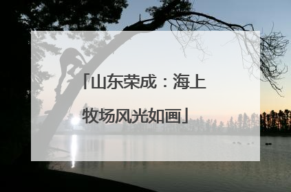 山东荣成：海上牧场风光如画