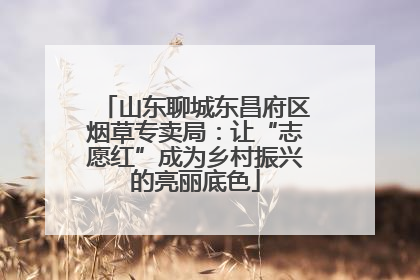 山东聊城东昌府区烟草专卖局：让“志愿红”成为乡村振兴的亮丽底色