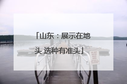 山东：展示在地头 选种有准头