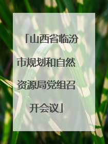 山西省临汾市规划和自然资源局党组召开会议