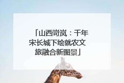 山西岢岚：千年宋长城下绘就农文旅融合新图景