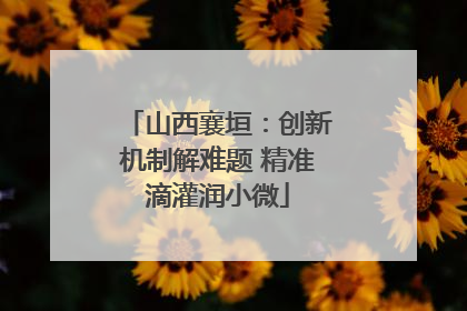 山西襄垣：创新机制解难题 精准滴灌润小微
