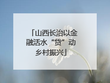 山西长治以金融活水“贷”动乡村振兴