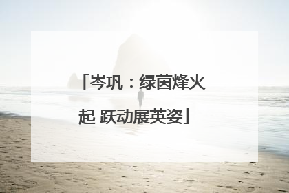 岑巩：绿茵烽火起 跃动展英姿