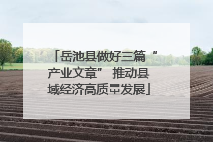 岳池县做好三篇“产业文章” 推动县域经济高质量发展
